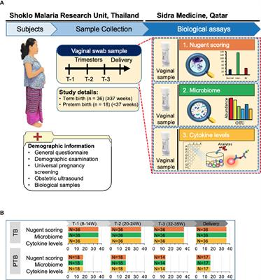 Vaginal Microbiota and Cytokine Levels Predict Preterm Delivery in Asian Women